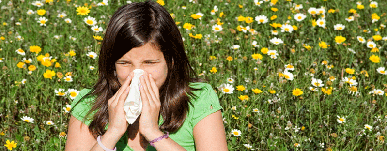 Tackling Hay Fever