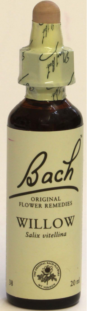 Bach Willow - 20 ml
